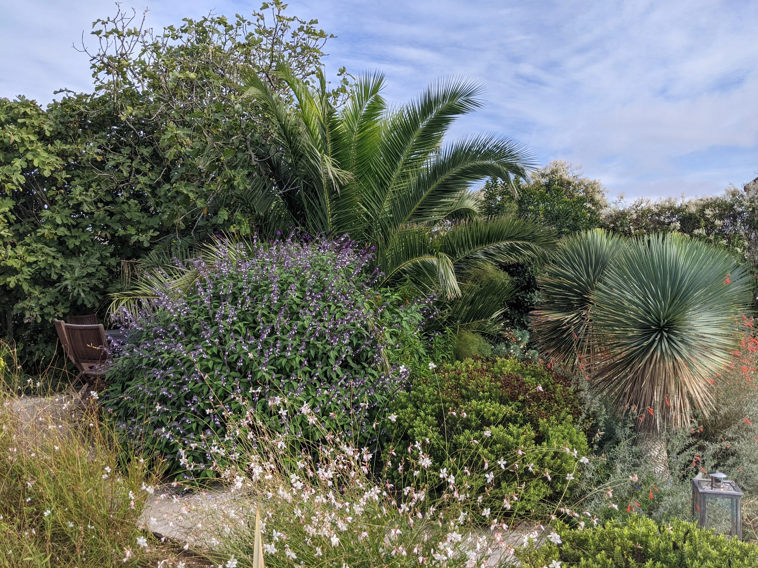 Jardin Durable sur l'Île d'Oléron : Plantes et Design Exotique