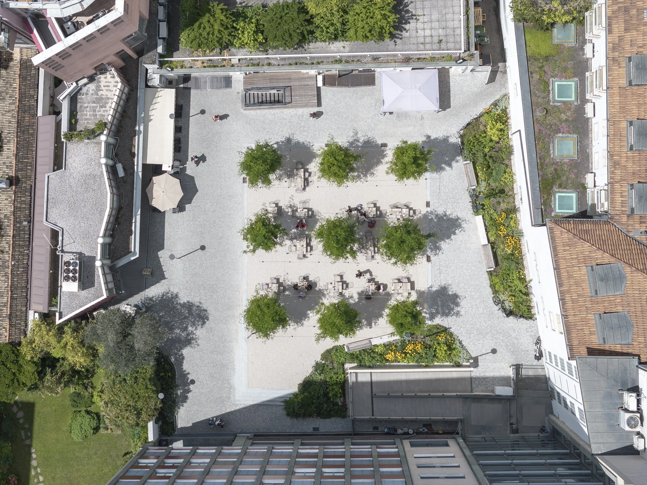 Vilgrattner 2024--10.jpg