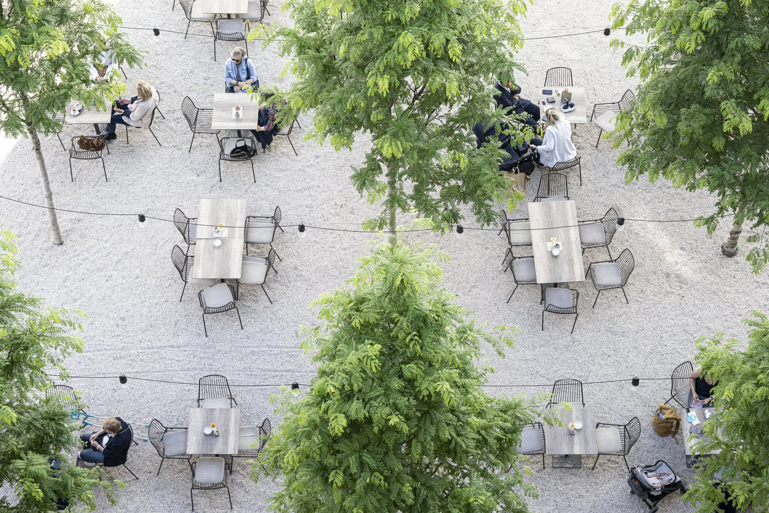 Vilgrattner 2024-97323.jpg