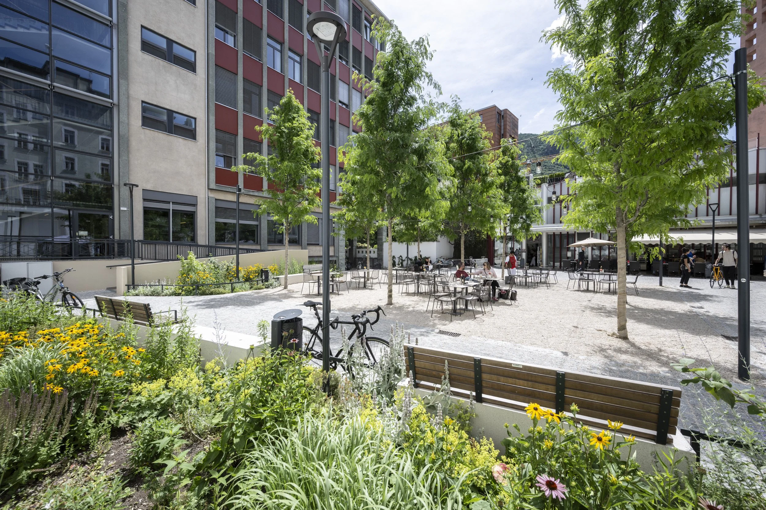 Vilgrattner 2024-97348.jpg