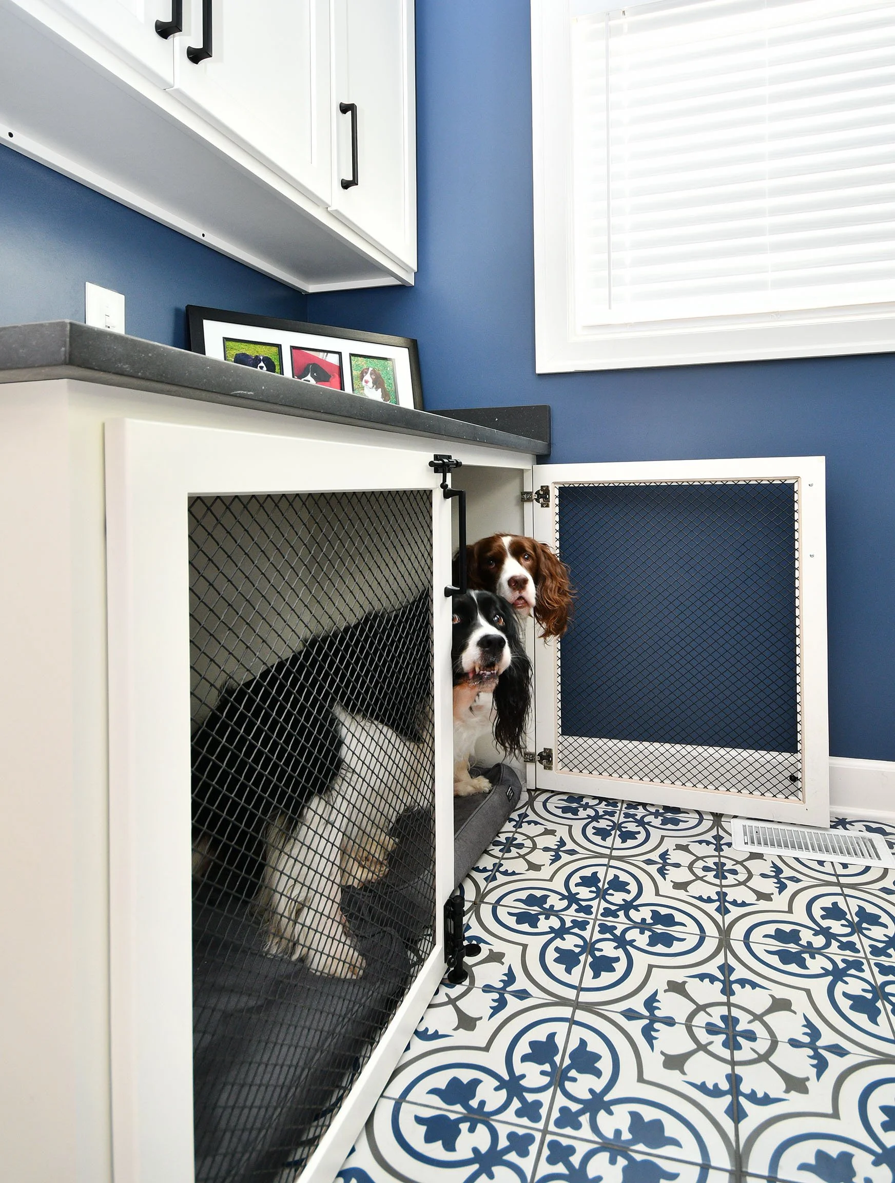 Carpenter Cabinets & Design — Pet Storage Options — Kitchen, Bathroom ...