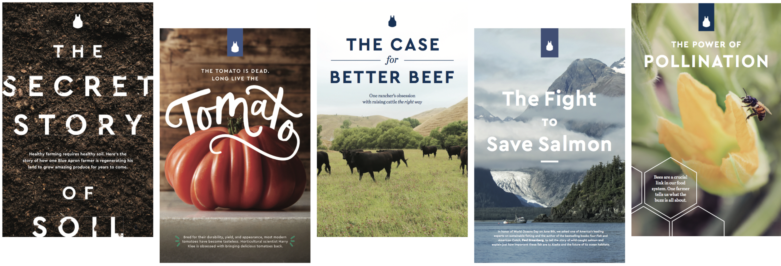 Screen Shot 2022-02-04 at 2.40.15 PM.png