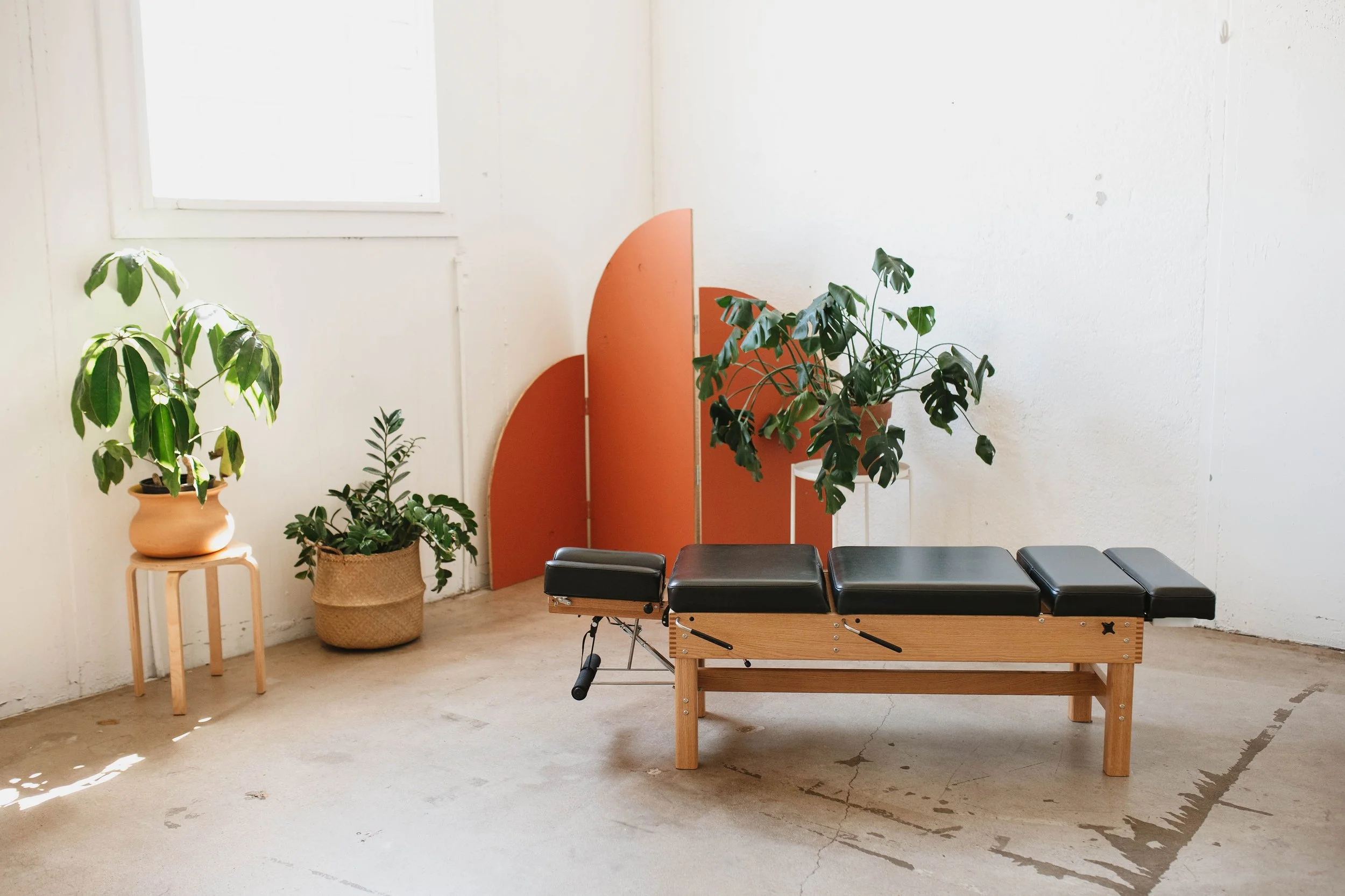 What Is Subluxation?