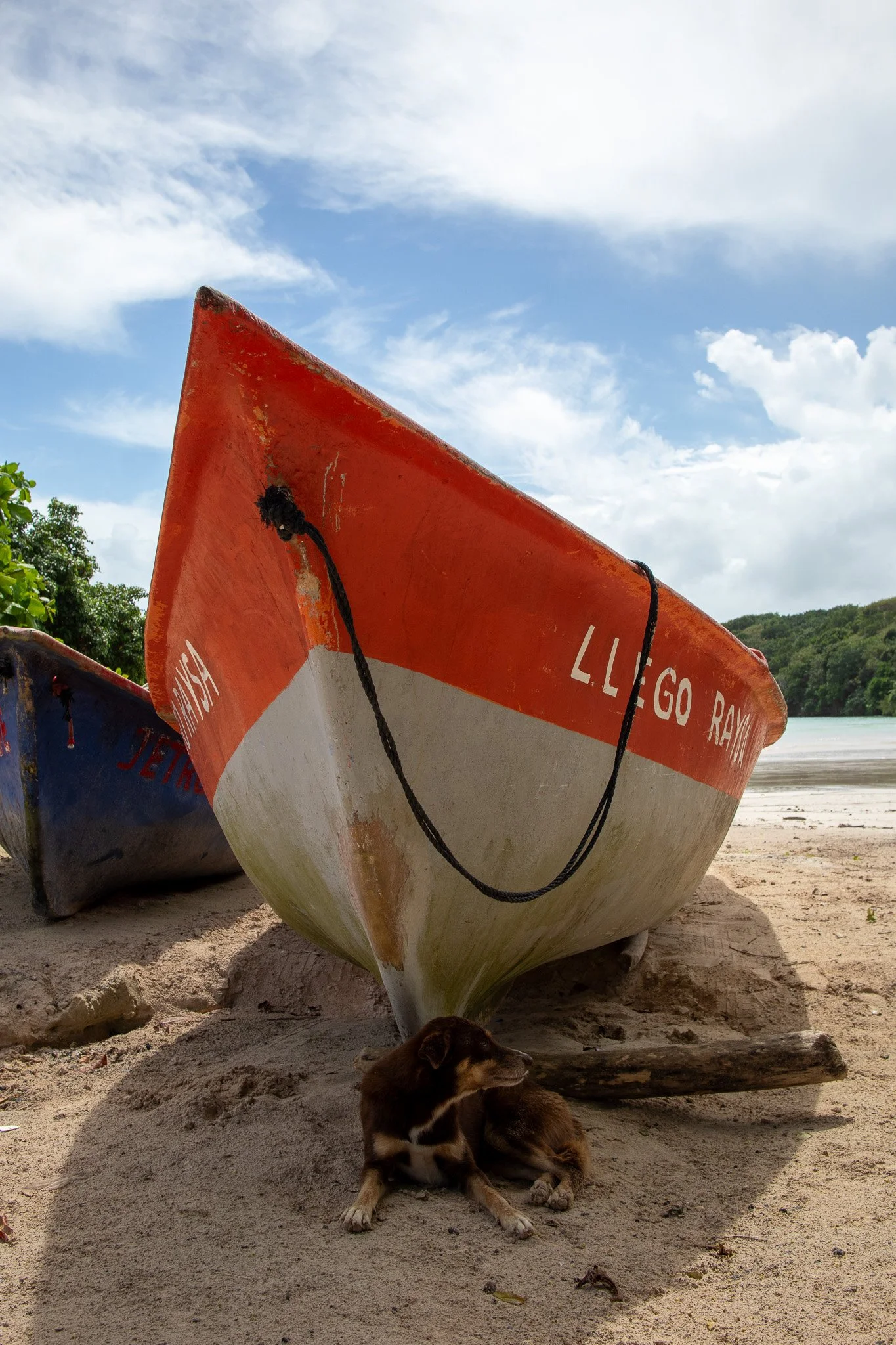 Dog relaxing beside a colorful boat on the beach