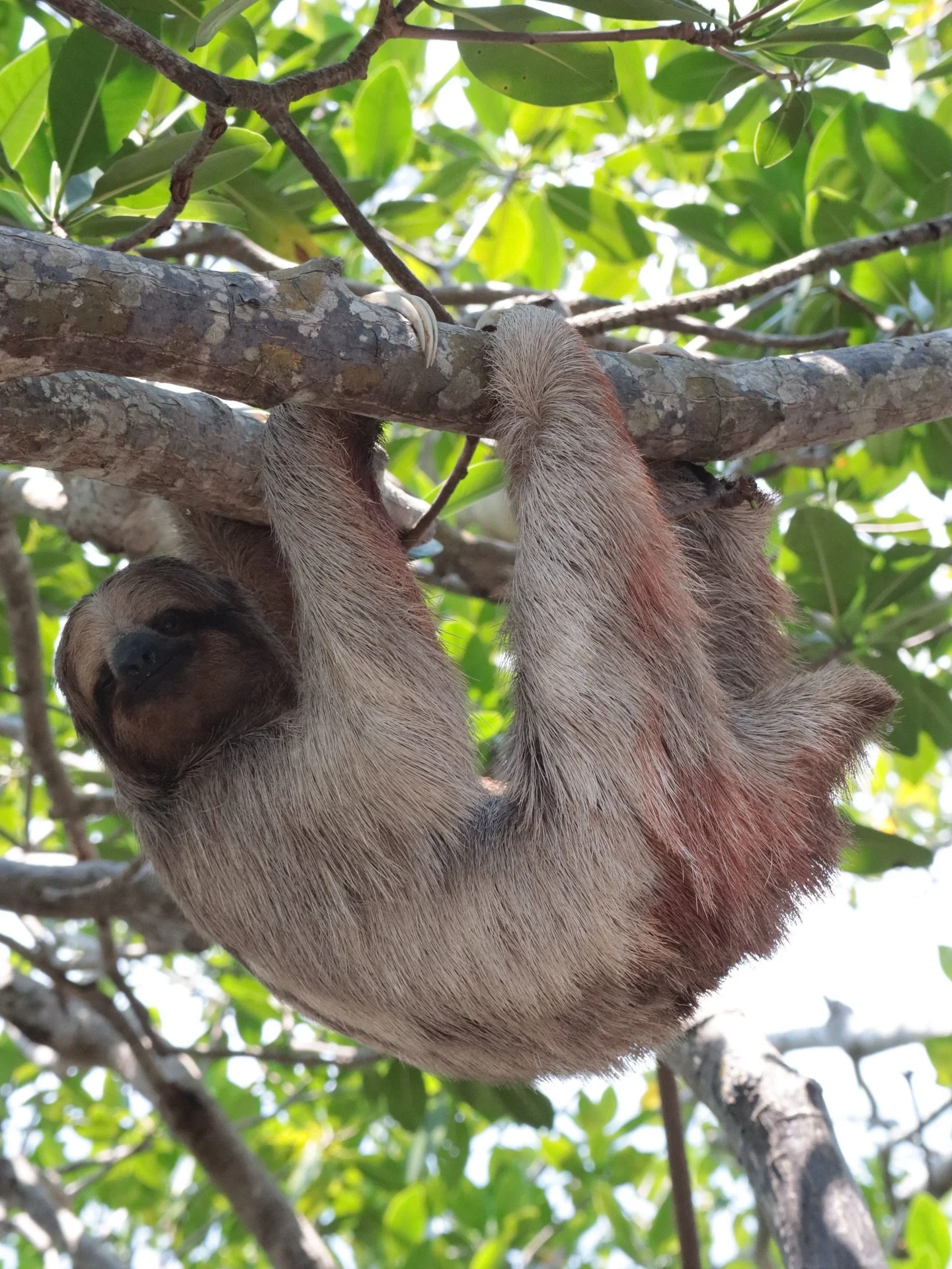 Tired like these guys and don&rsquo;t know how to fix it?

You&rsquo;re likely experienced the challenge we face as women juggling it all: your brain refuses to truly rest 🤯

You might just feel worn out all the time, and that feeling of overwhelm h