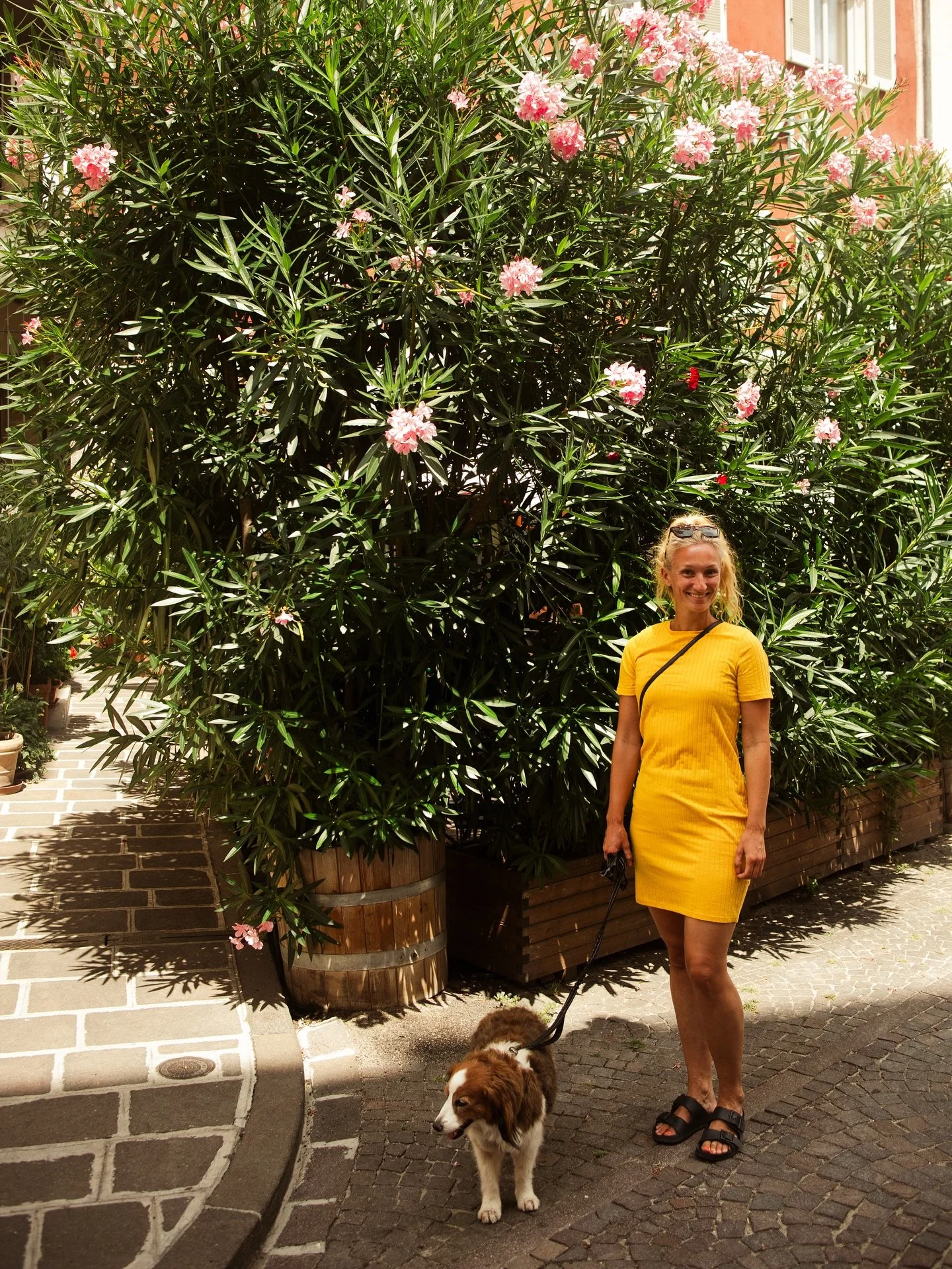 The fastest way to get energized and stop procrastinating ⤵️

You know I talk a lot about energy management, and that&rsquo;s because I know how much heart and effort goes into building your business while juggling a demanding personal life 🤹&zwj;

