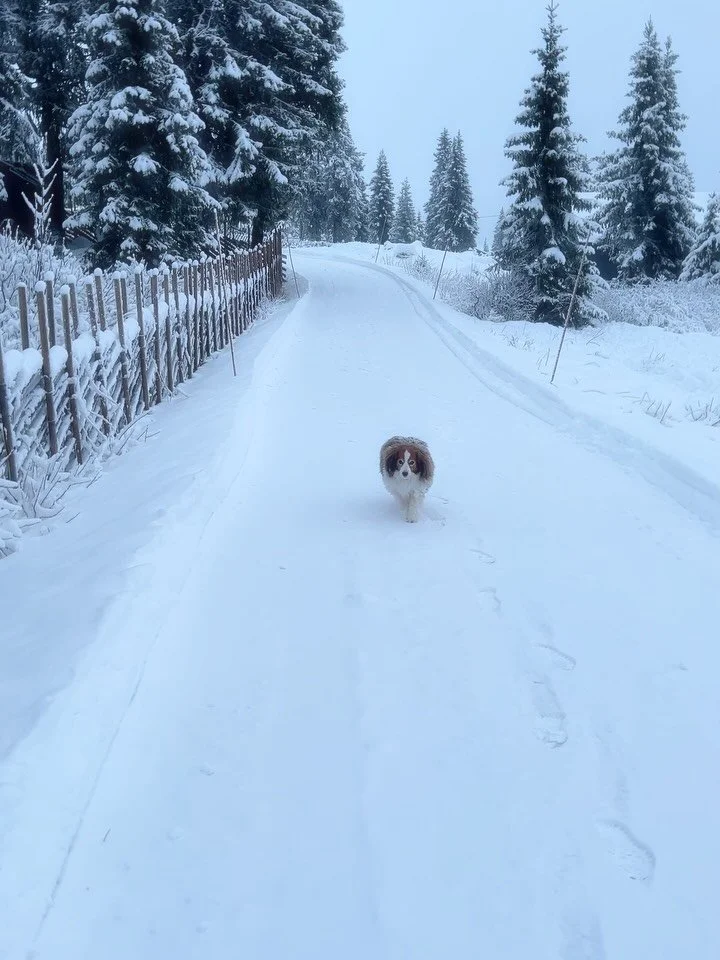 Still adding to your &ldquo;get done before holidays&rdquo; list? Do this instead ⤵️

The winter holiday season can be beautiful &mdash; but it can also be busy, stressful, and a little too much 😳

So what happens to so many of us this time of year 