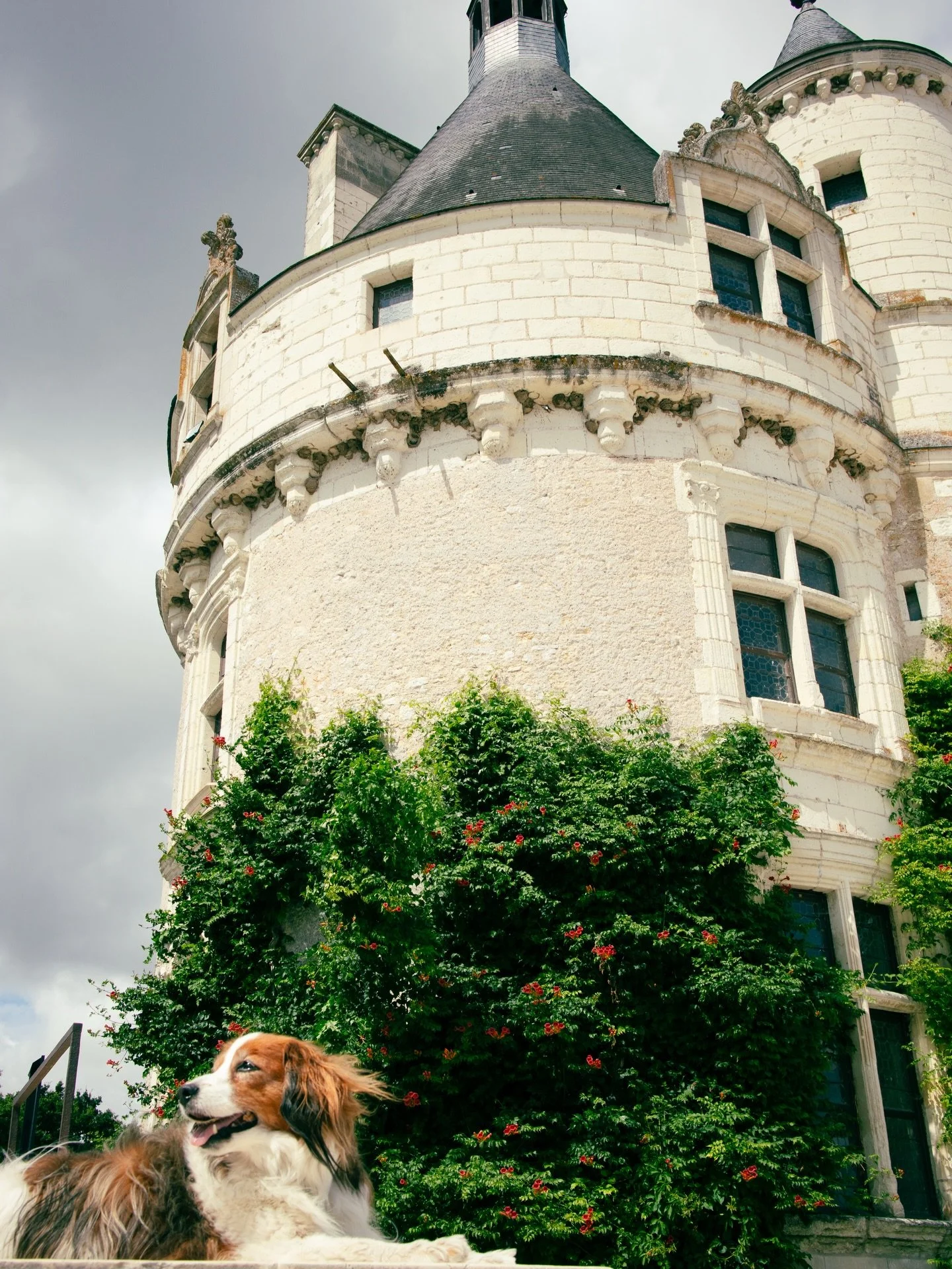 Sweeten your Christmas morning with this free gift 🎁

I hope you are currently surrounded by warmth, good food, and maybe even a little bit of quiet time for yourself ☕️ 🍪

I know that for many of us, our creative &laquo;hobbies&raquo; often get tu