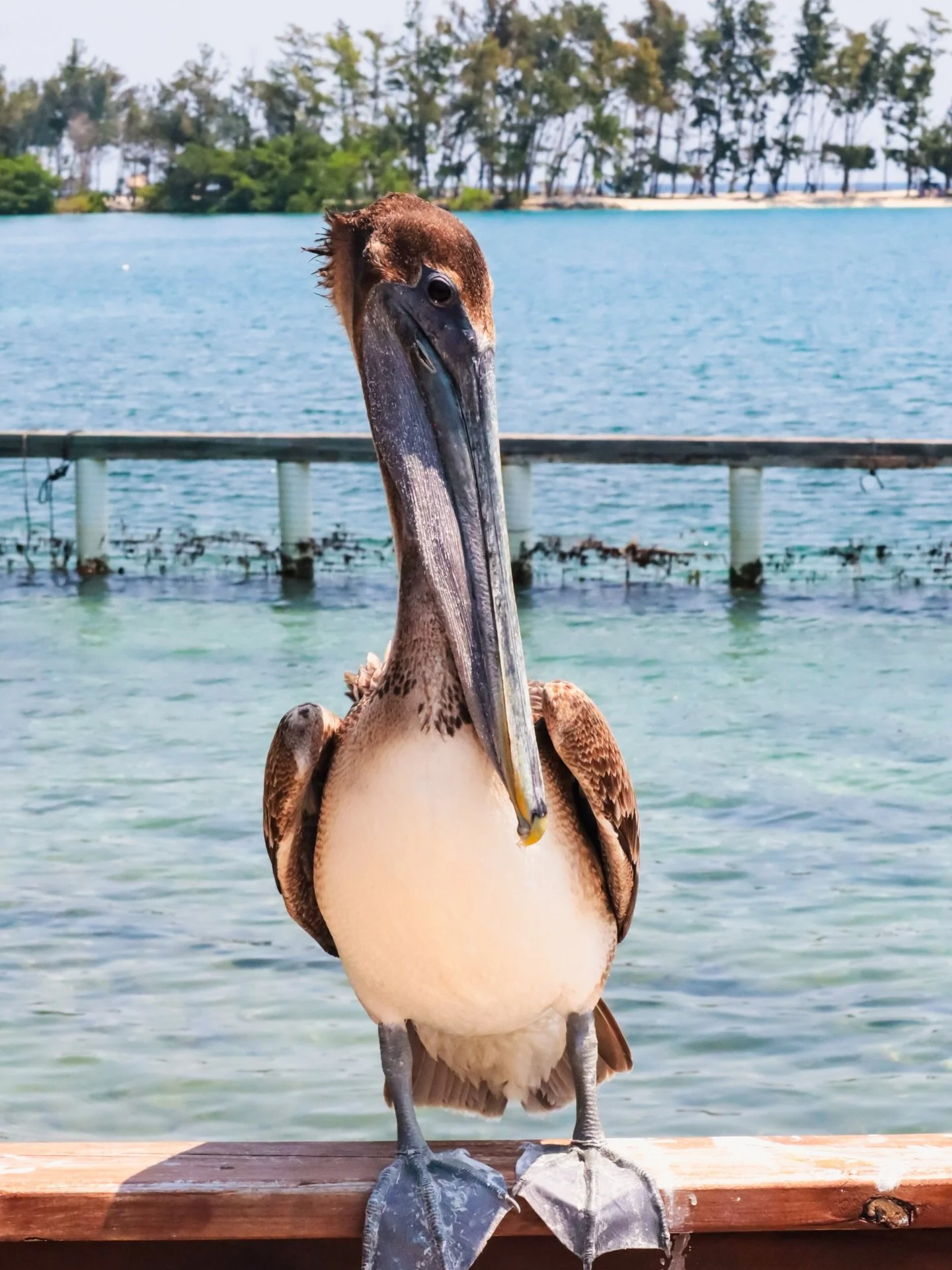 Here&rsquo;s what your Thursday exhaustion is trying to tell you ⤵️

Do you often find yourself making the same &laquo;start date&raquo; promises every Monday morning, only to let them slip by Thursday afternoon?

By the time Thursday rolls around, i