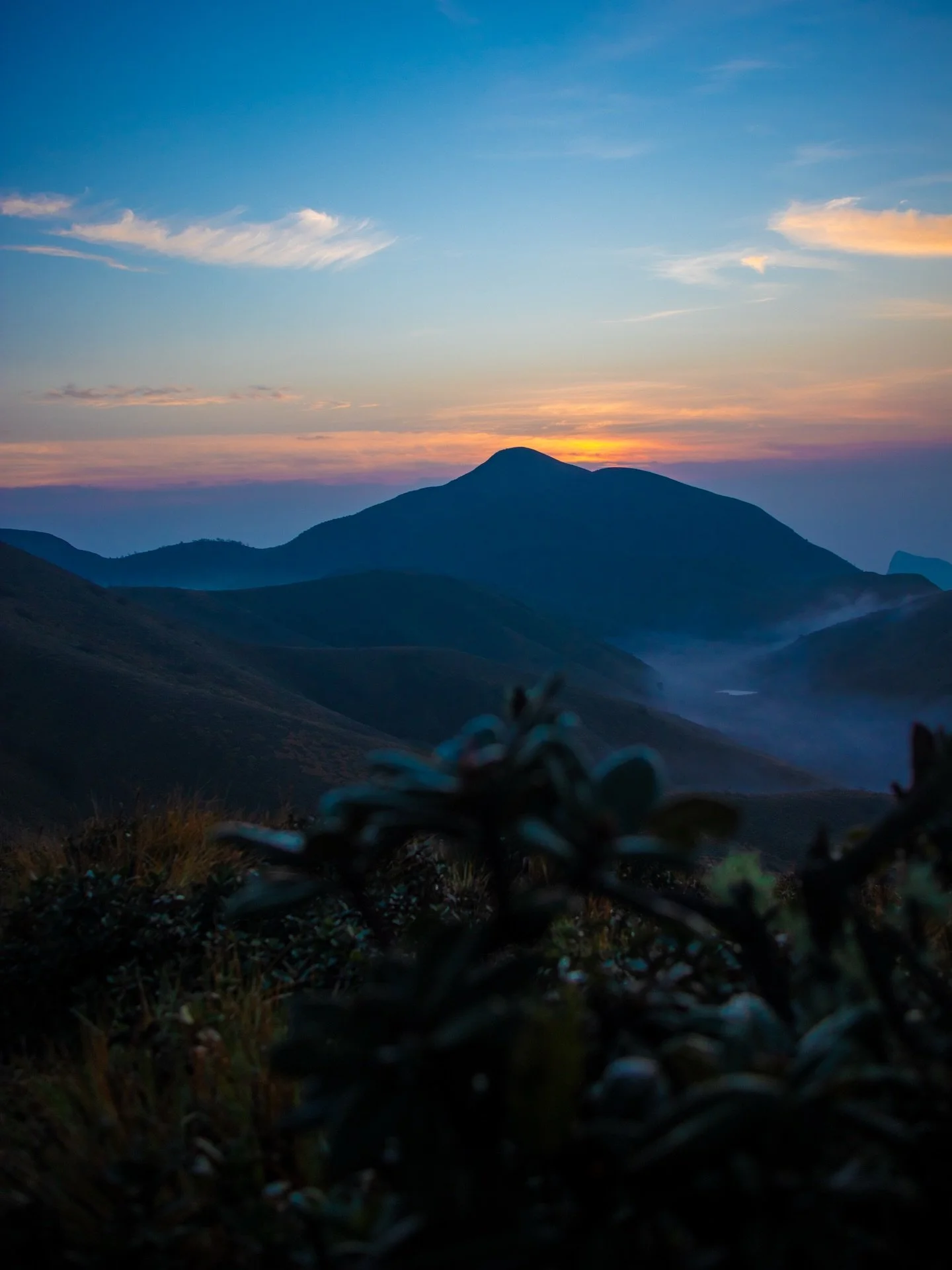 Sweeten your week with this system that works while you&rsquo;re offline ⤵️ 

I&rsquo;m looking at the week ahead, and I can almost feel the weight of it with you ⚖️

You are preparing for a new week where you are trying to be the &laquo;reliable pro