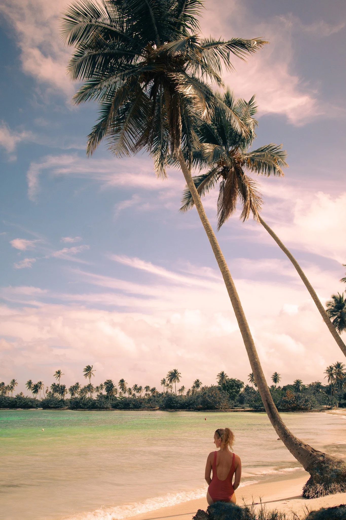 Woman sitting on a rock in front of long palm trees