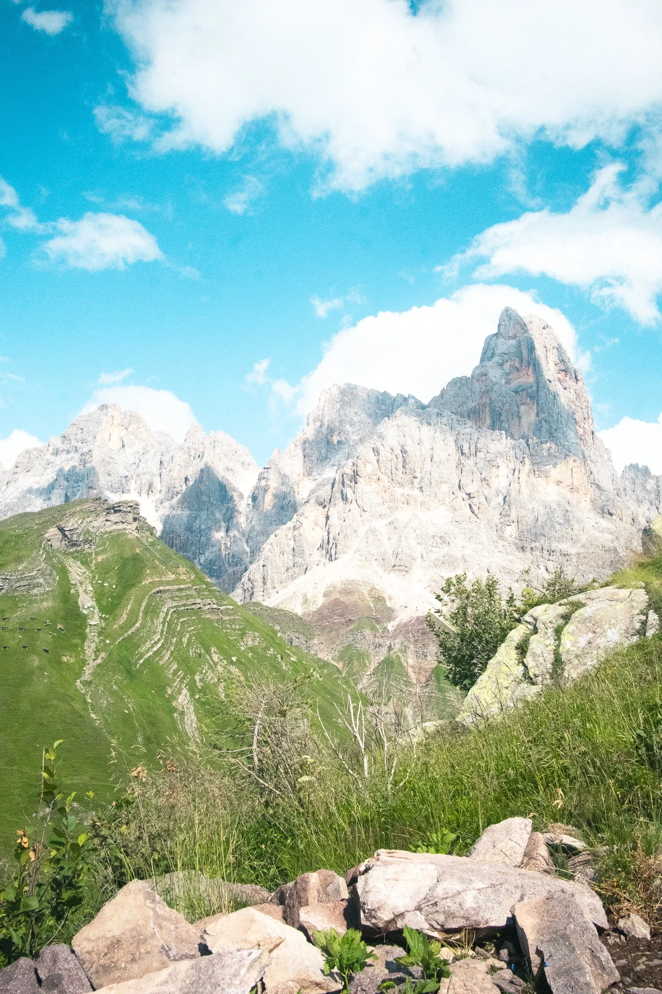 Mountain with green grass in front