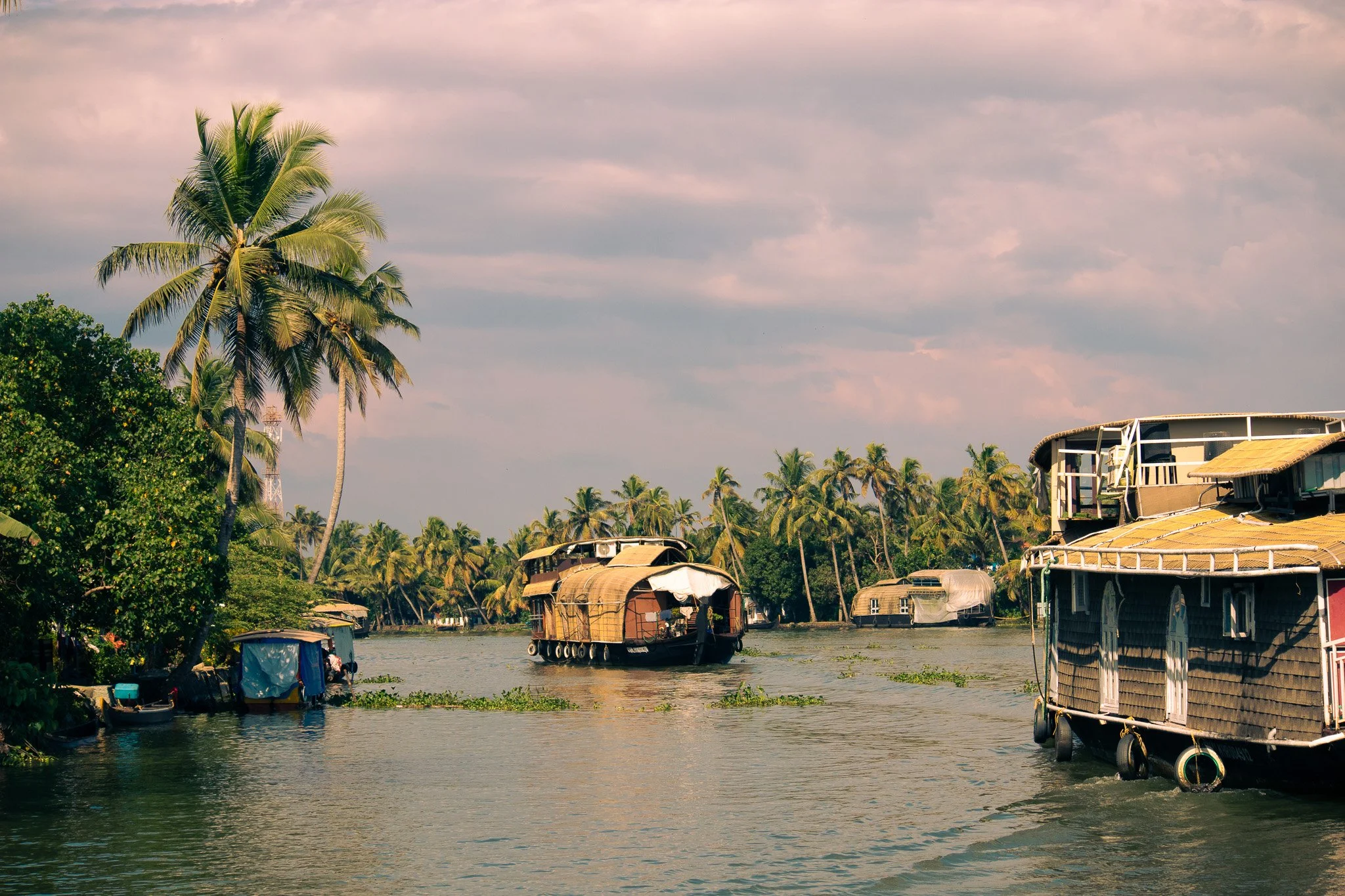 Boat in tropical Alleppey backwaters