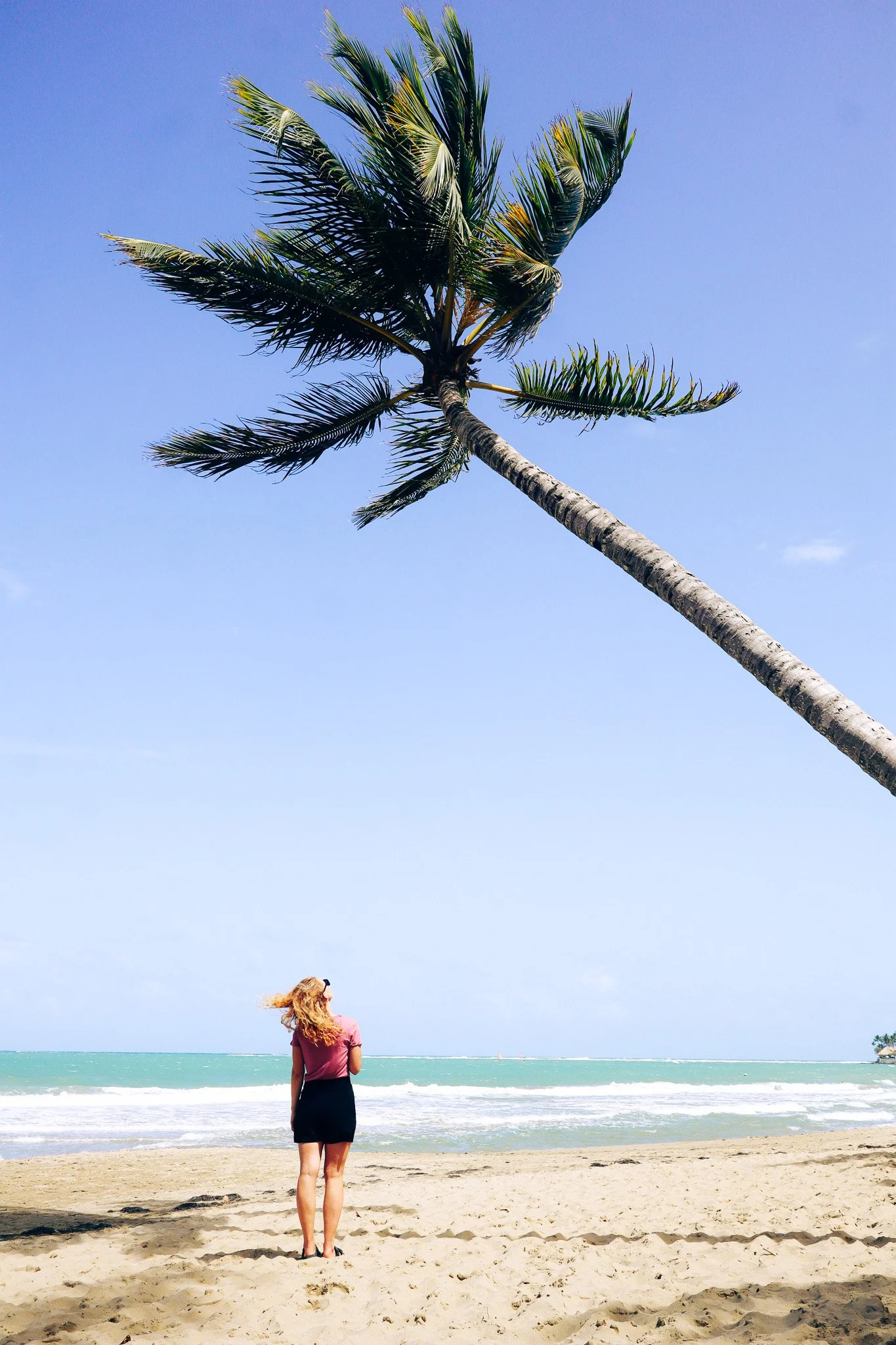Woman looking up on a palm tree on a tropical island