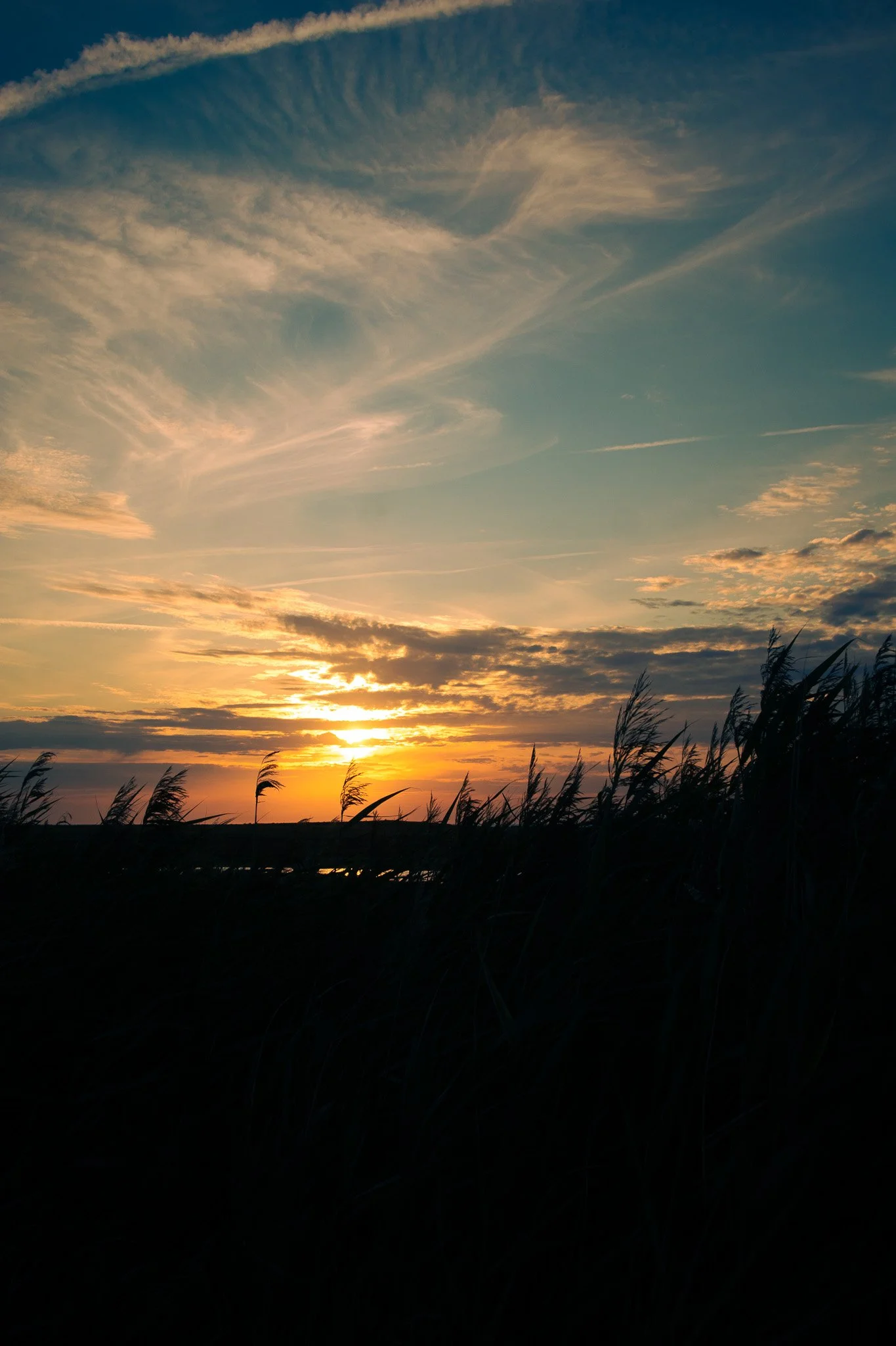 Sunset in a field