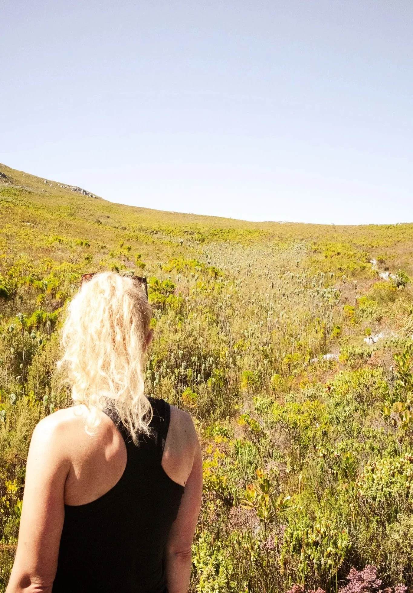 Woman with back to camera hiking