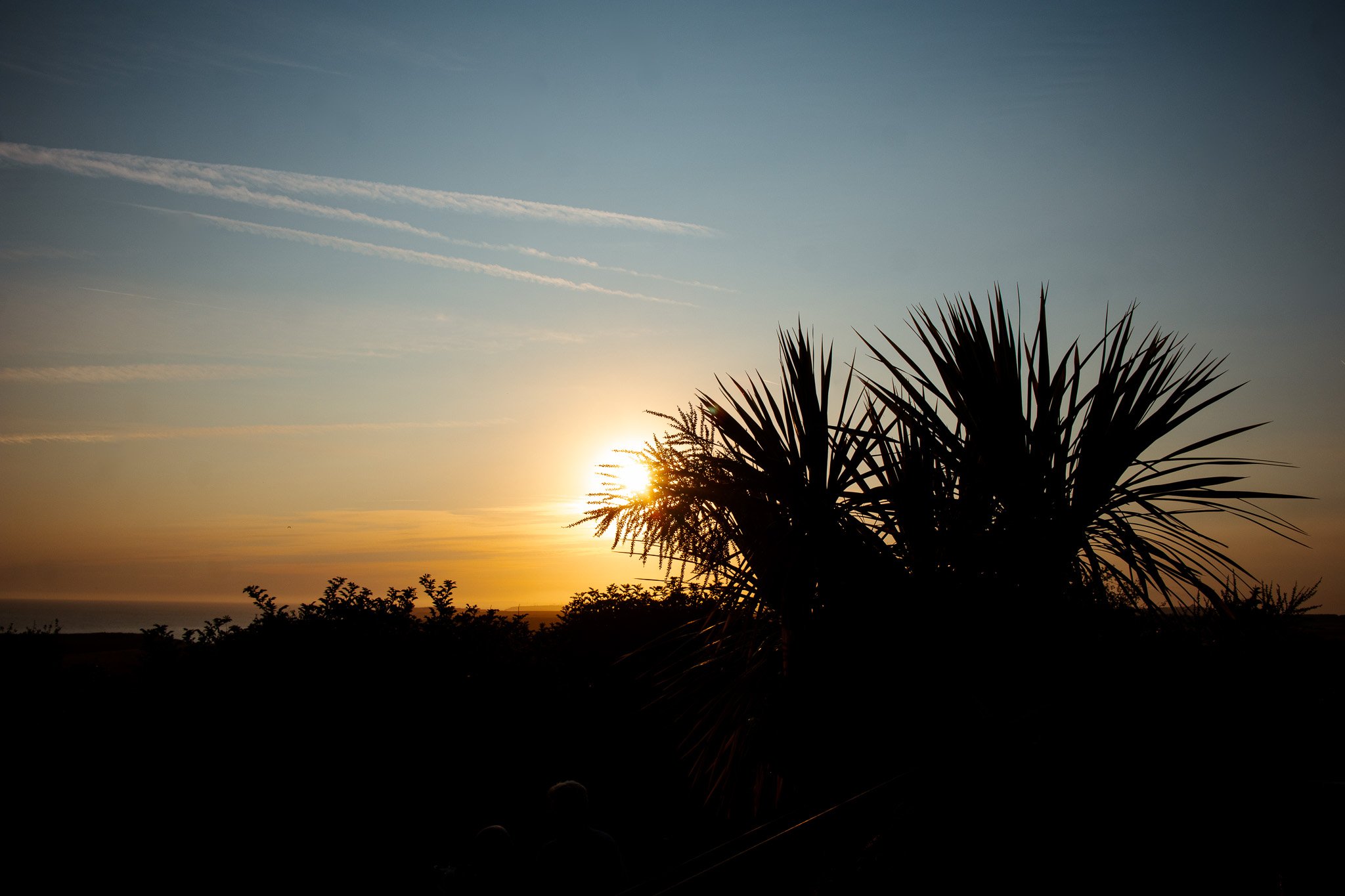 Sunset with palms in front