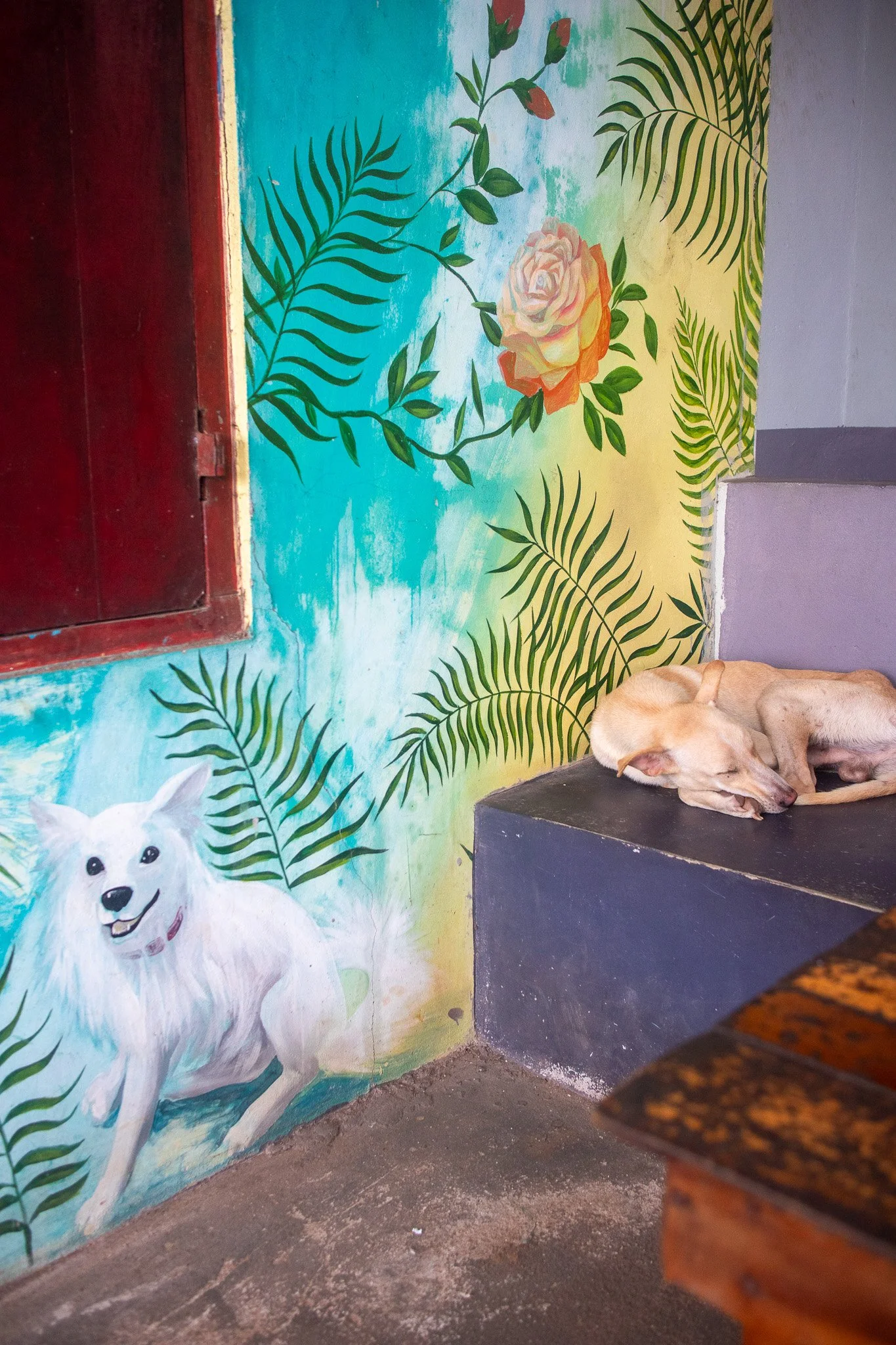 Dog relaxing in a colorful cafe