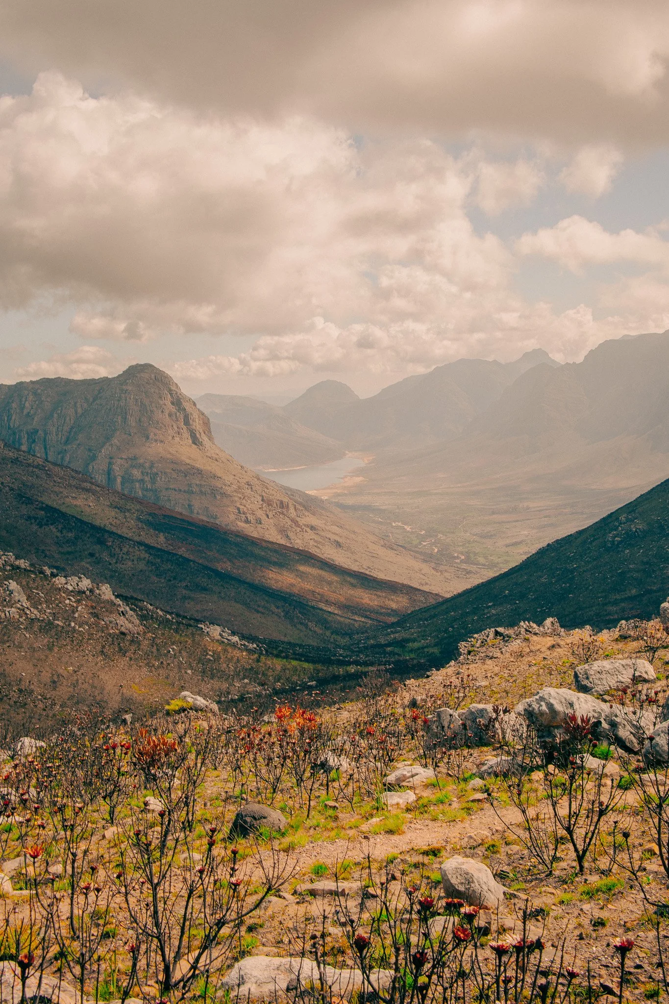Mountain view from South Africa