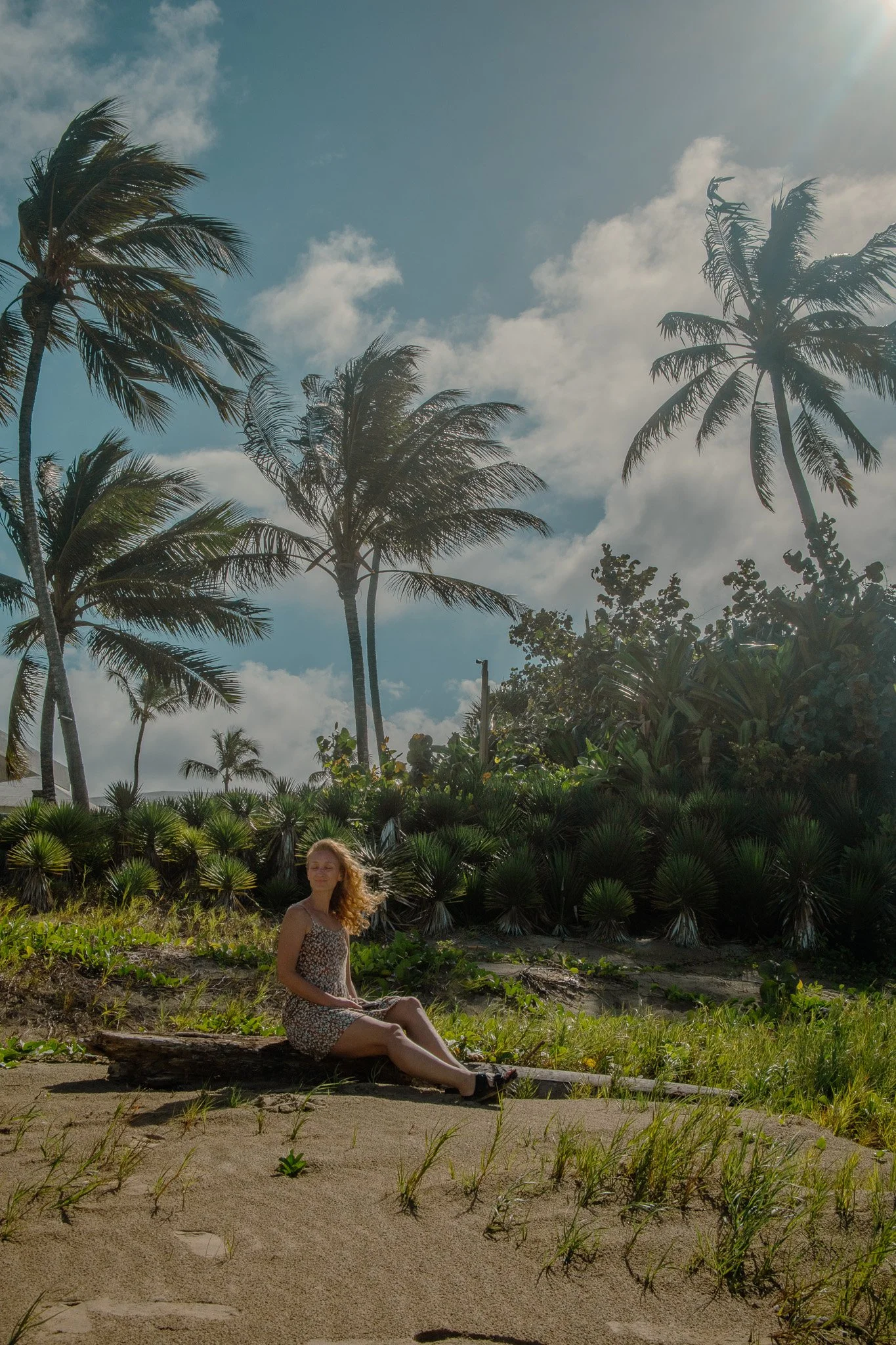 Woman sitting on a driftwood branch at a tropical beach