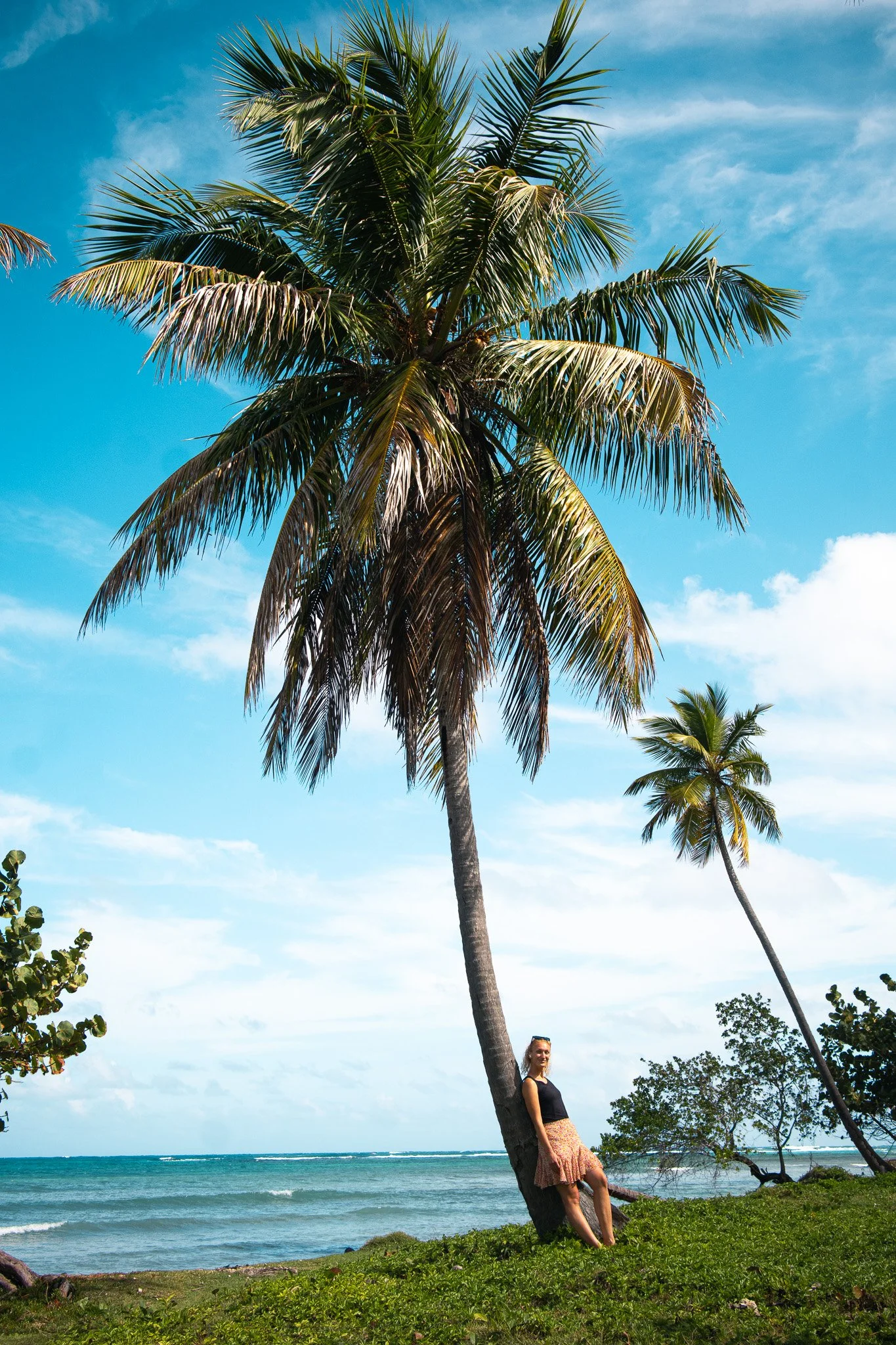 Woman leaning on a palm tree with sea background