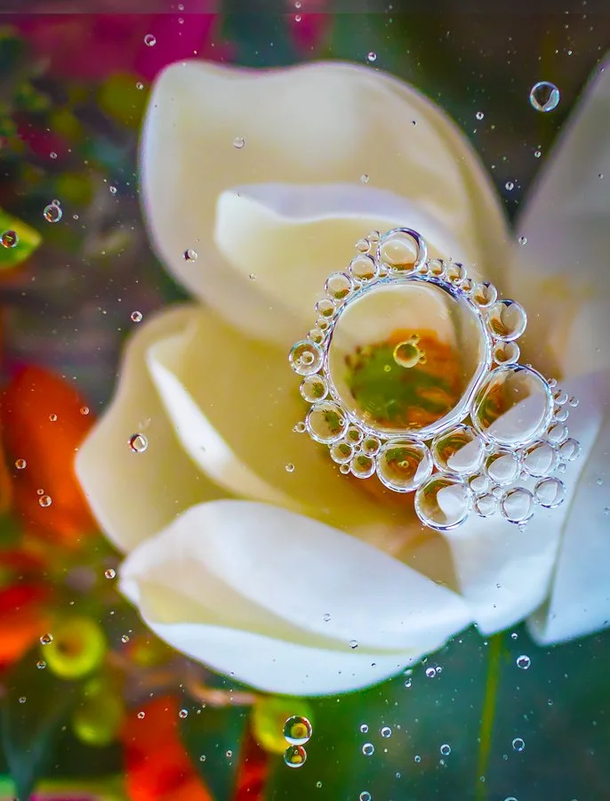 Barbara Crane photo - Follow the bubbles.jpg