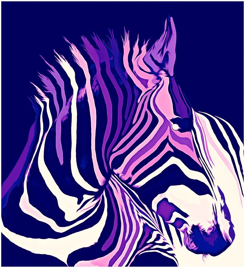 Barbara Crane photo - Zebra Pop.jpg