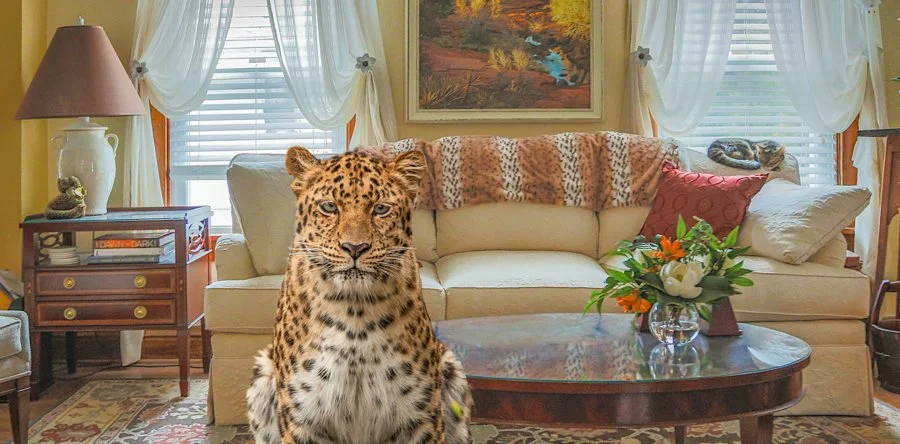 Barbara Crane - Family Pets.jpg