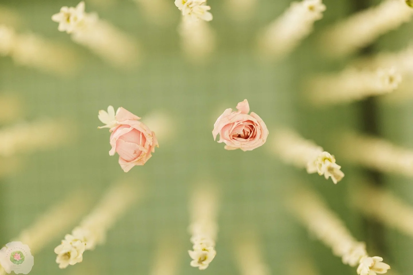 There are rituals in a Telugu wedding
that have existed for a thousand years.
We do not photograph around them.
We photograph inside them 
with the same reverence
with which they were designed.
&mdash; S &amp; P &middot; Hyderabad
