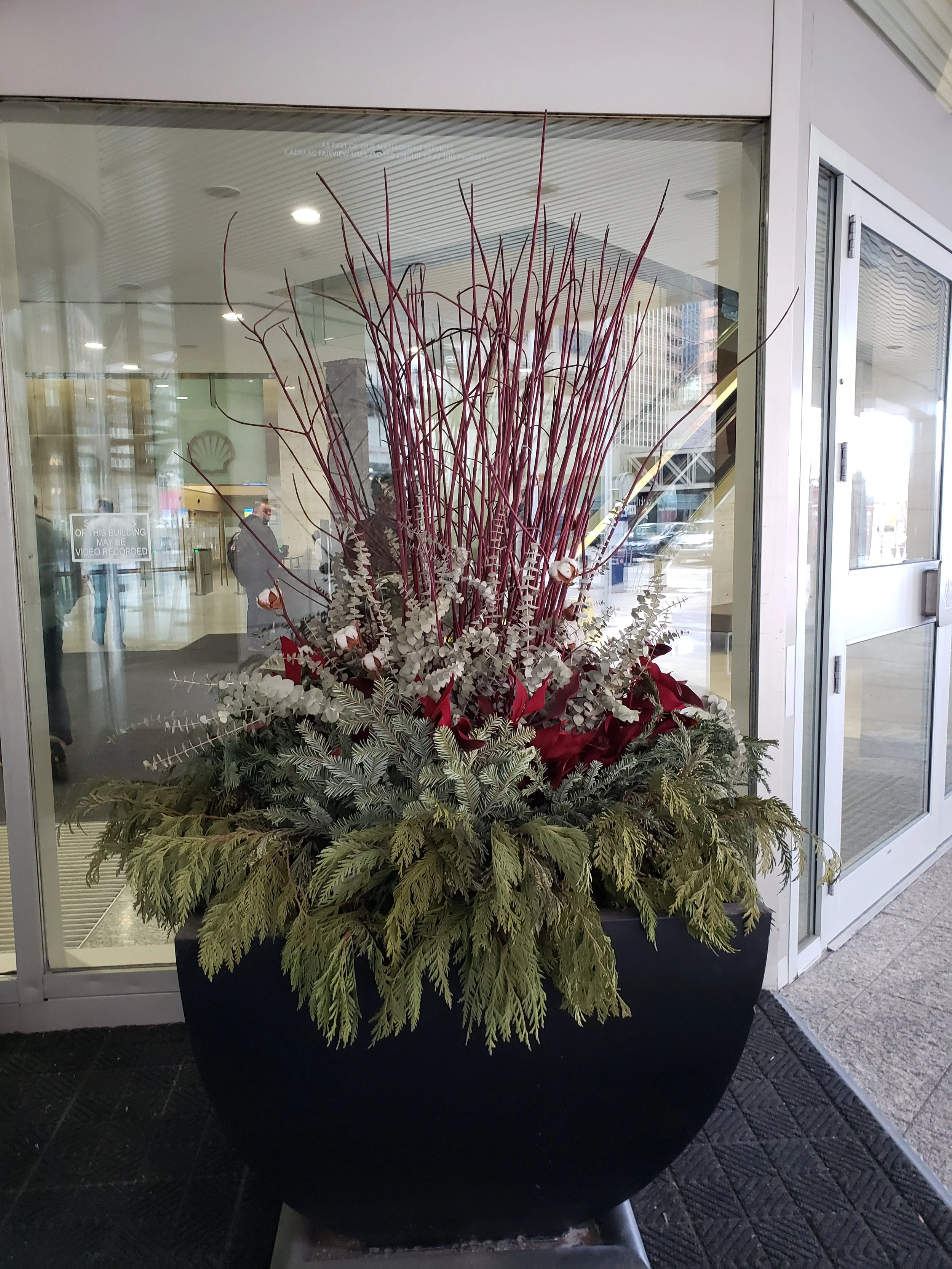 winter planter arrangement