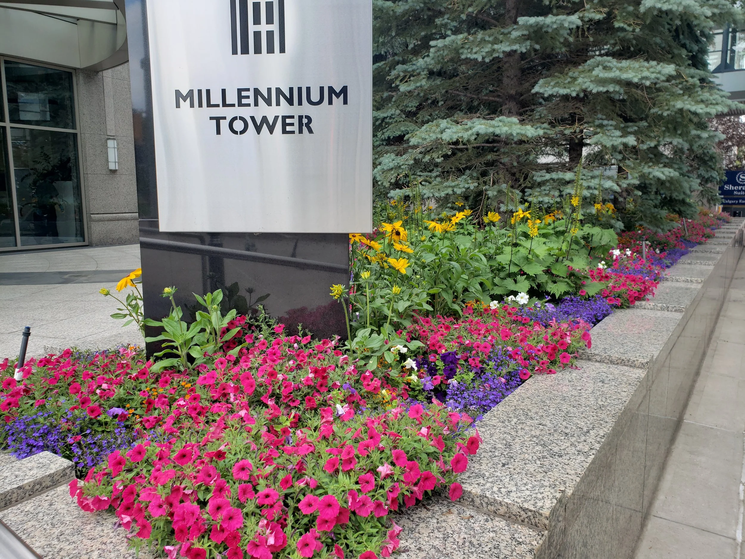 commercial flower design
