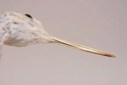 2361.jpg