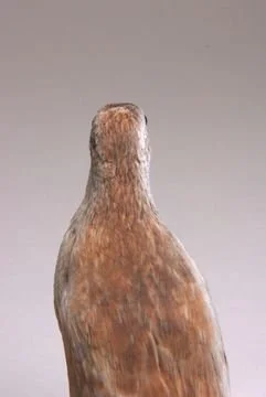 2425.jpg