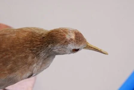 2428.jpg