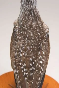 2376.jpg