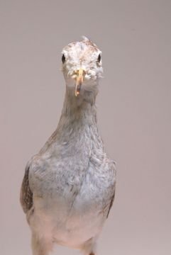 2337.jpg