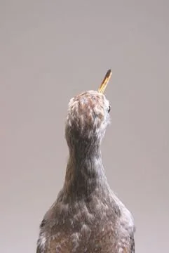2347.jpg