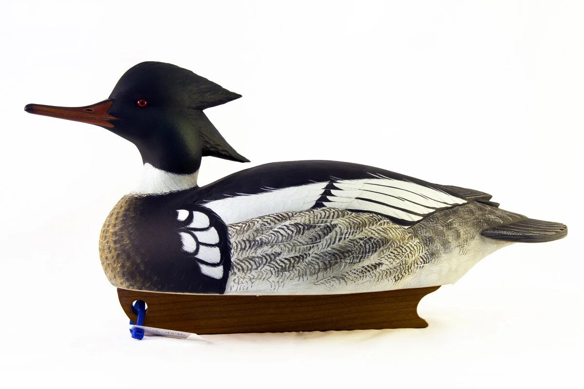 Walter Gaskill - Red-breasted Merganser Drake