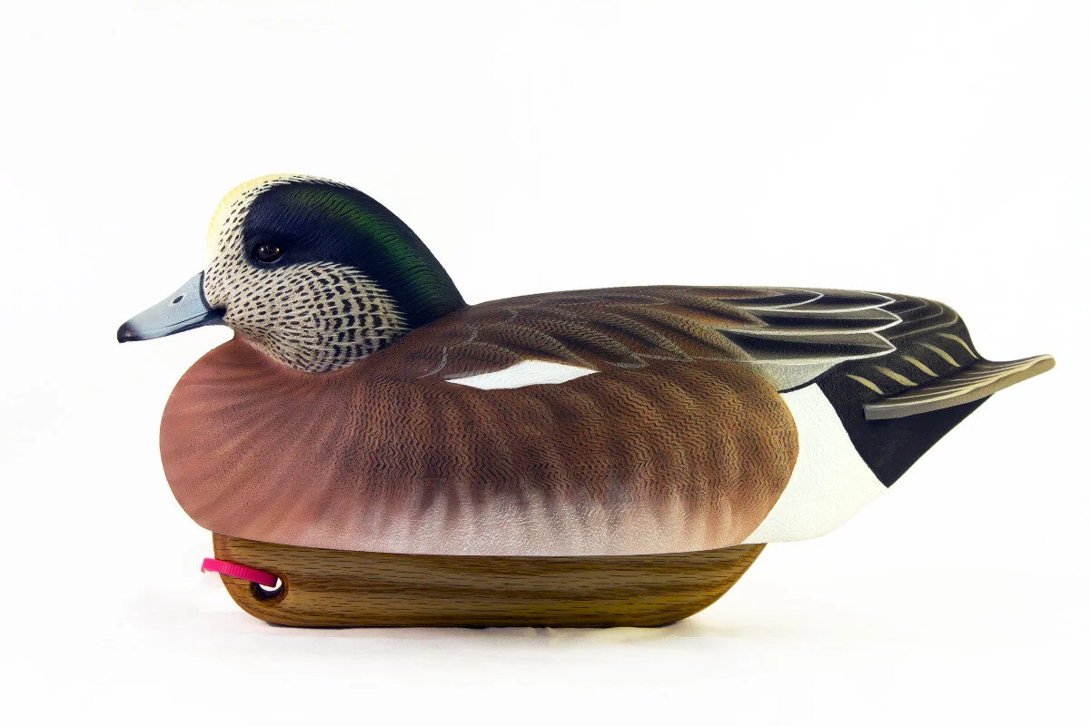 Tom Matus - Wigeon Drake
