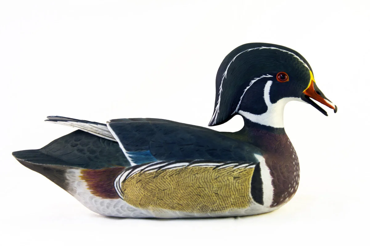 Tom Goddard - Wood Duck Drake