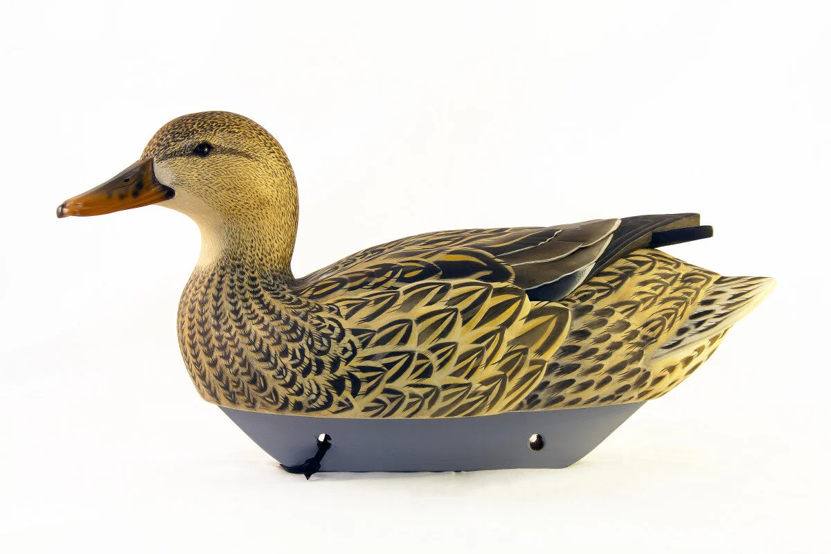 Tom Newell - Hen Mallard