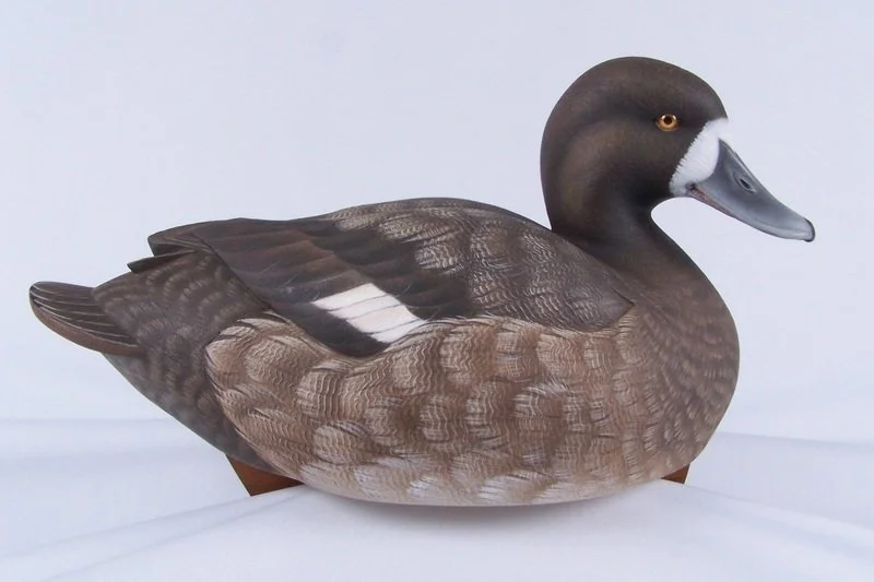 Walter "Brother" Gaskill - Scaup