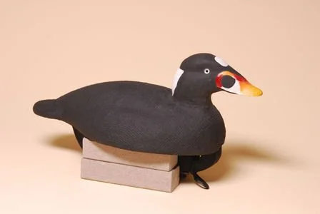 William Bruce, Third in Show, Foam Decoy