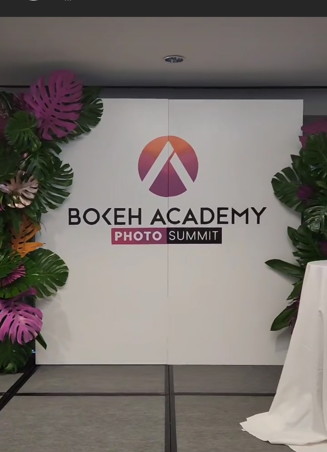 stage backdrop bokeh.png