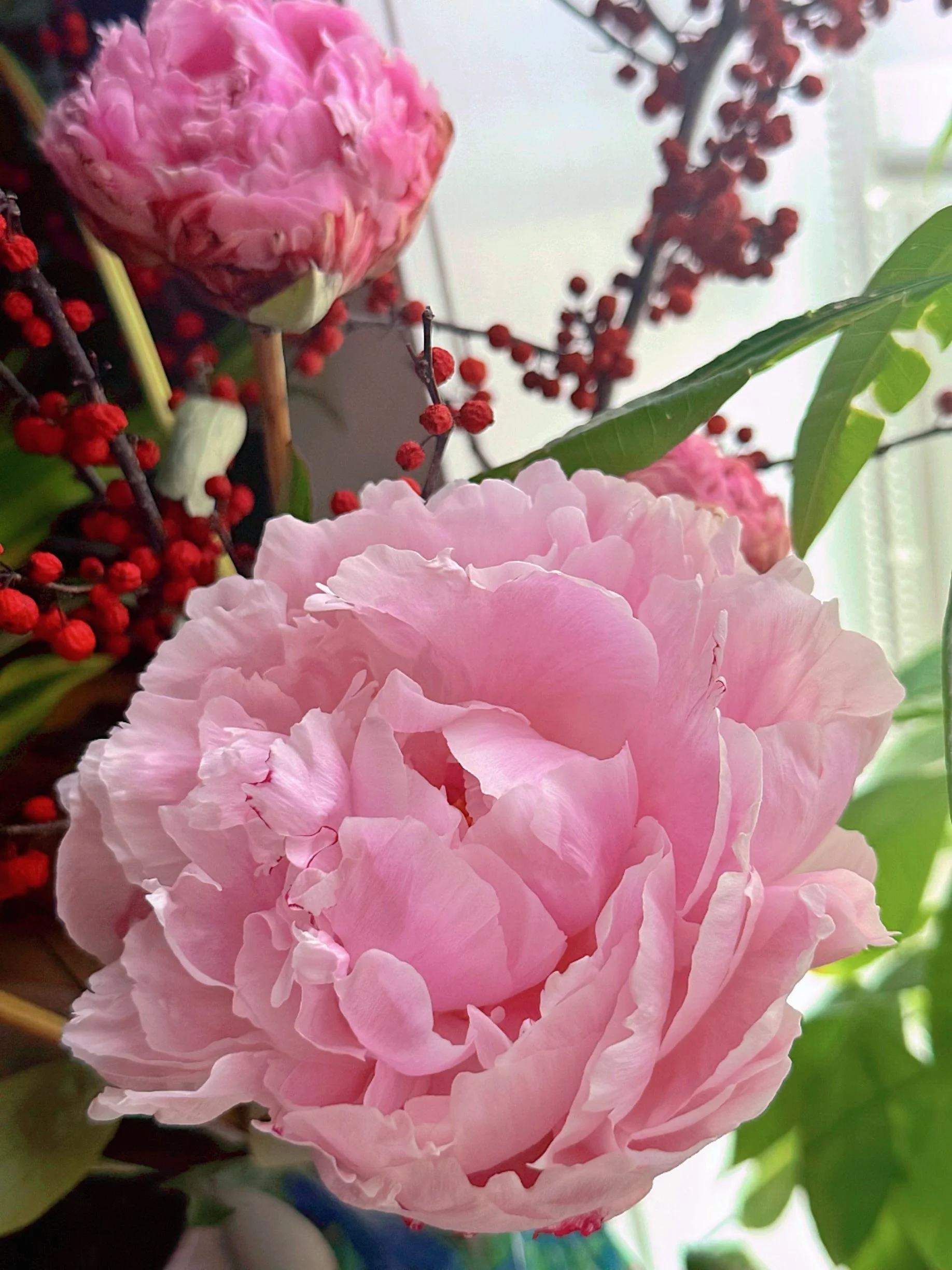 Faith Before Proof:&nbsp;How Your Home Can Support Manifestation Through Feng Shui