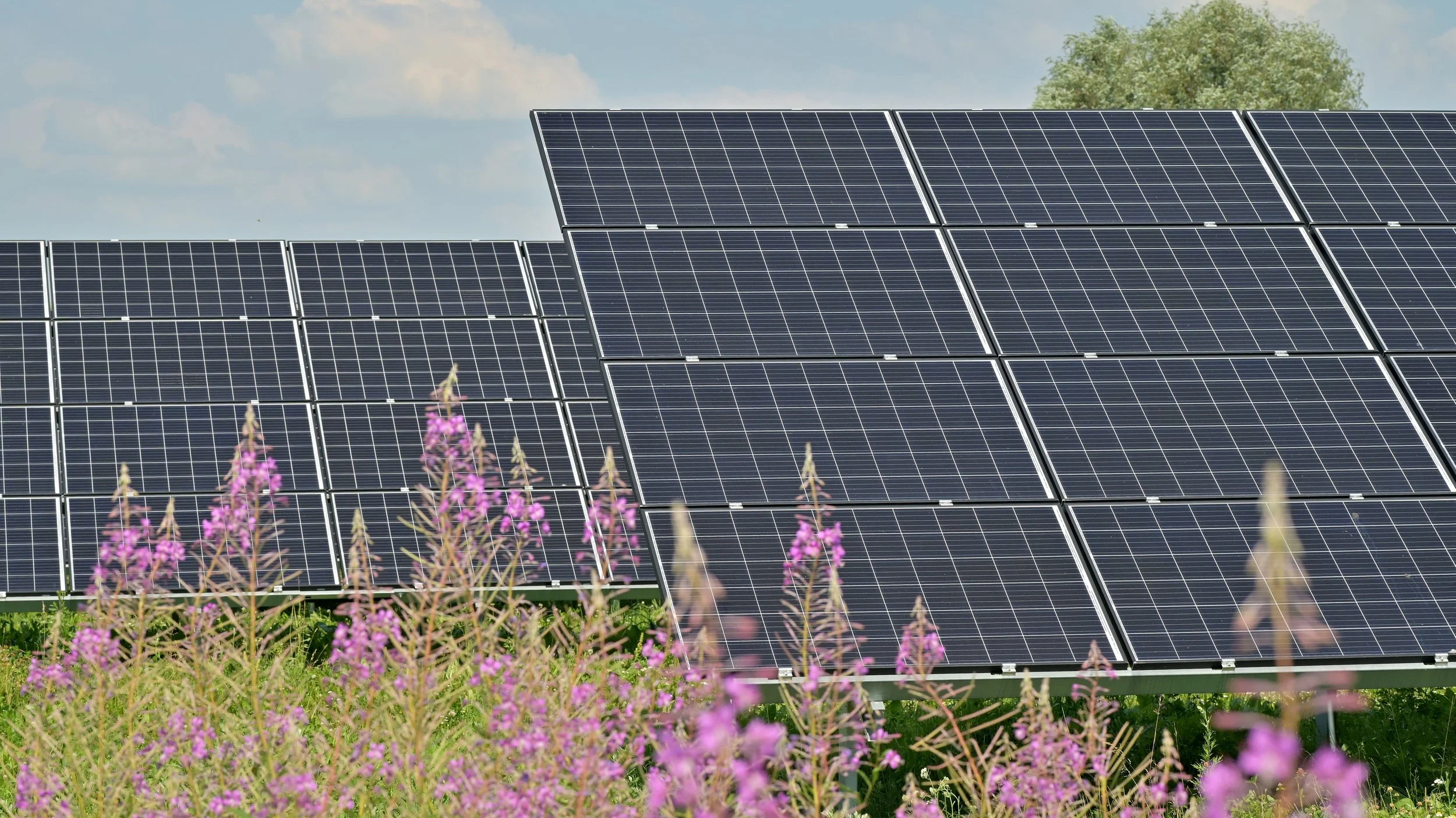 andres-siimon-fCv4k5aAZf4-unsplash 2.jpg