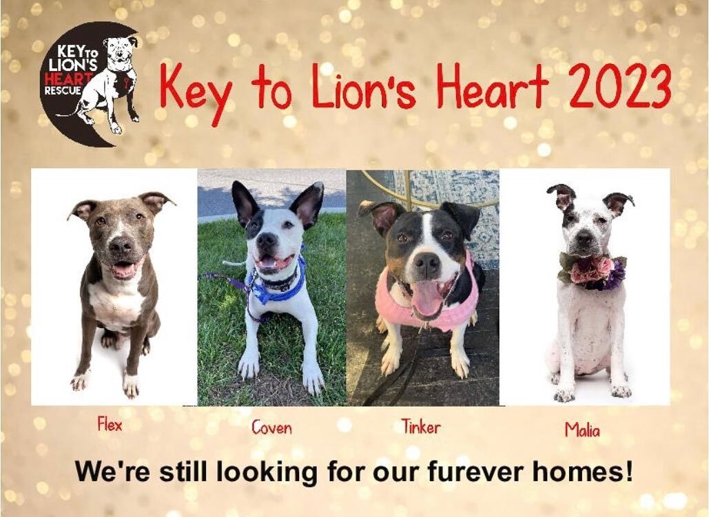 ❤️ 🖤Our KTLH 2023 calendar is HERE! 🖤❤️

Back for the THIRD year in a row, our calendar features current adoptable dogs, plus tons of KTLH alumni. All proceeds will go directly towards the care of dogs currently in our care, plus saving even more d