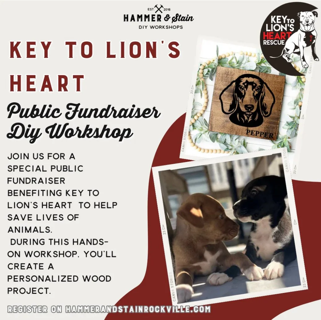 HAMMER &amp; STAIN ROCKVILLE Fundraiser