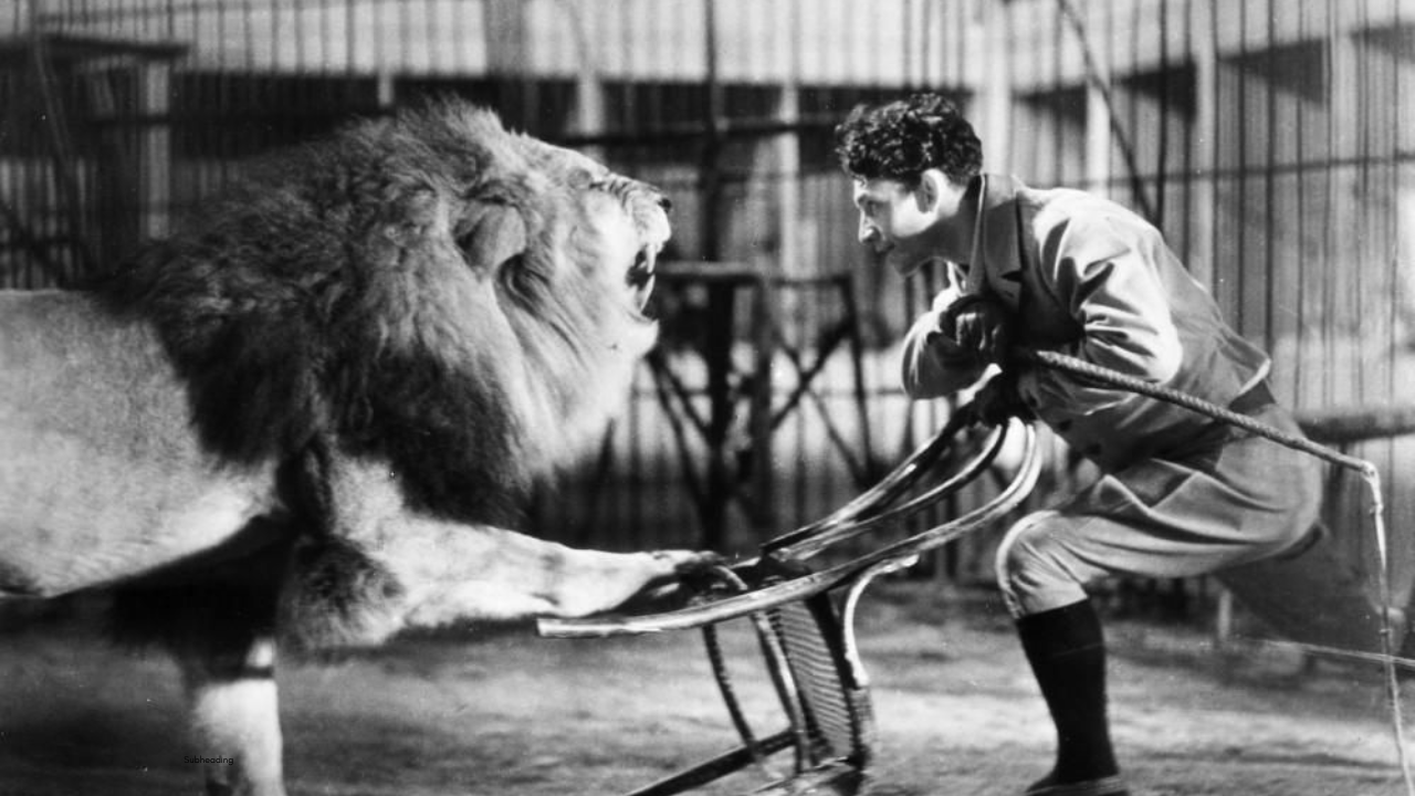 Why We Become Critical Under Pressure - The Lion Tamer Pattern