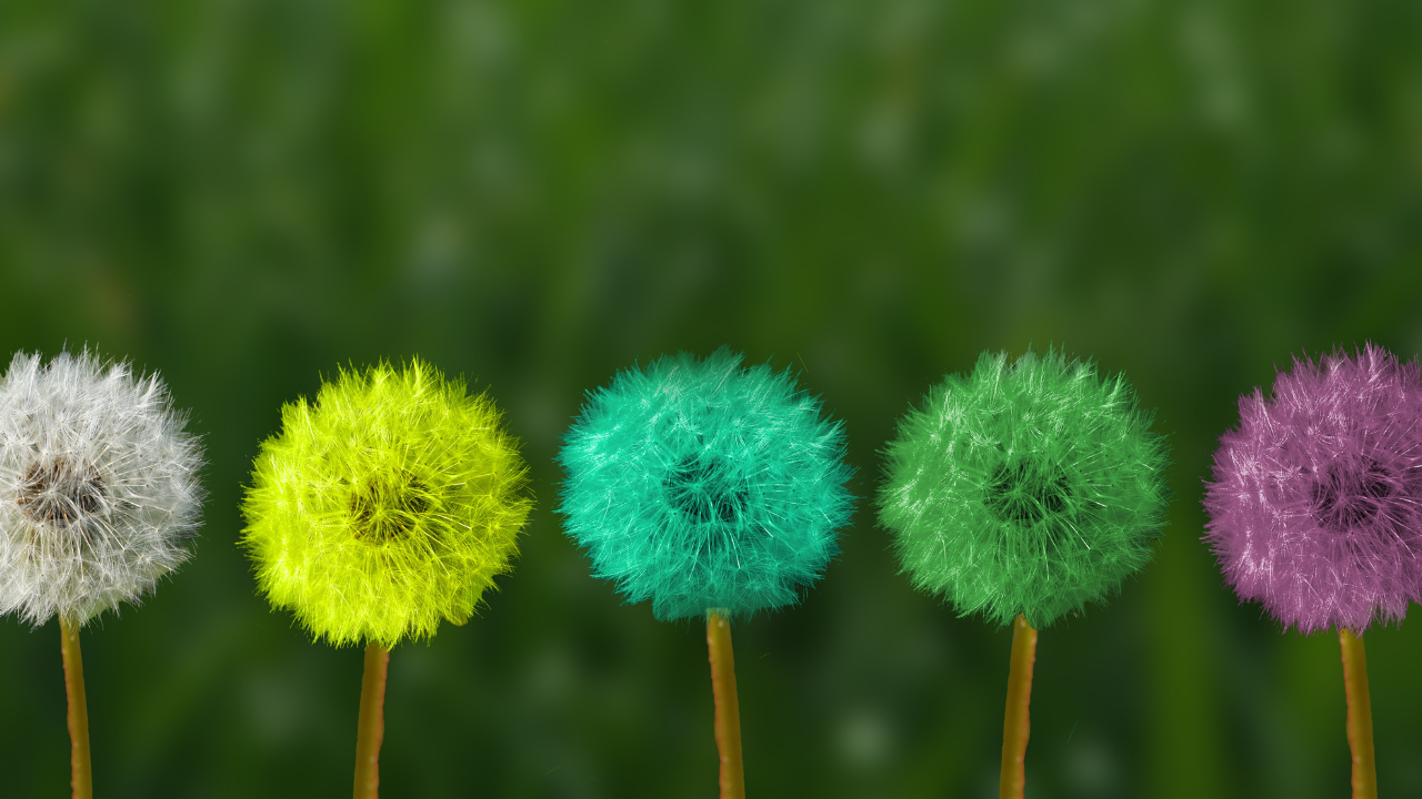 11 Powerful Ways to Know It’s Your Intuition Talking